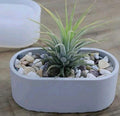 GIFT - FLOWER POT (Excl. Plant)