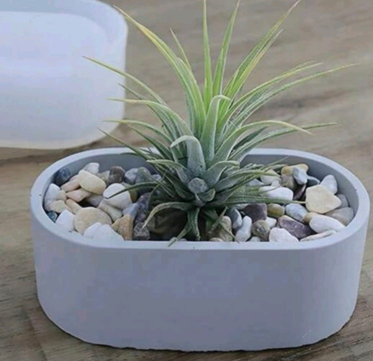 GIFT - FLOWER POT (Excl. Plant)
