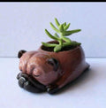 GIFT - FLOWER POT
